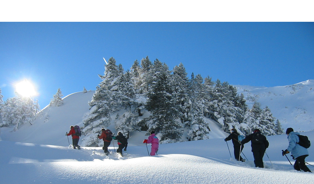 Ski in the Vosges