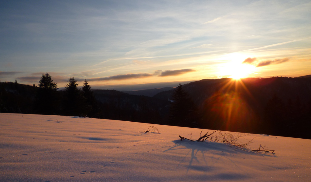 Les Vosges