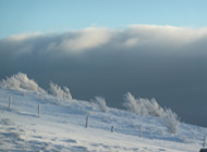 Le massif des Vosges